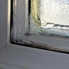 Nå kjem frostskadane