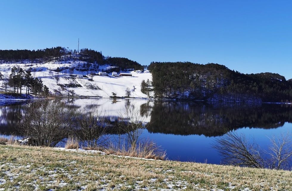 Dette bilde viste seg å innehalda eit artig motiv.
Foto: Foto: Heidi Lien