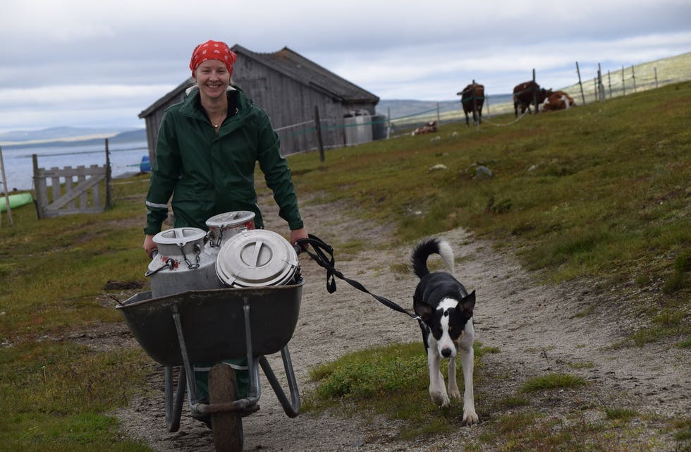 Ingeborg Dørheim har ansvaret for mjølkinga av fire kyr på Rauhelleren turisthytte i sommar. Jobben deler ho med bror Eirik. Hunden Susi er alltid med på jobben. Foto: Odd Gunnar Nordengen