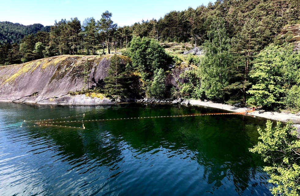 Det er denne lakserusa som nokon har fjerna frå Seldalsvik i Etnefjorden.
FOTO: POLITIET/HAVFORSKINGSINSTITUTTET
