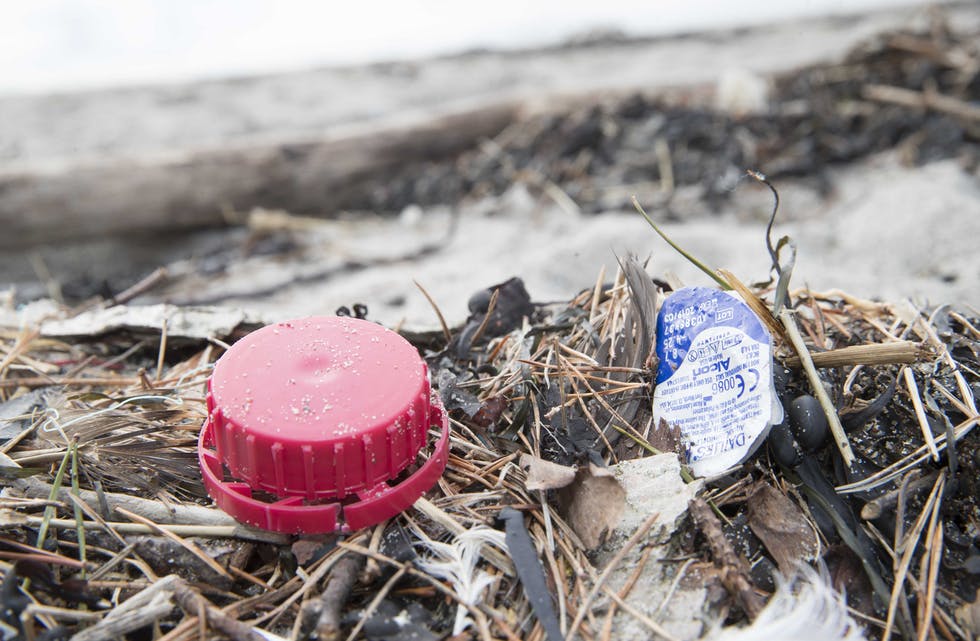 Sundag går året tv-aksjon i regi av NRK til inntekt for WWF og kampen mot plast i havet.
Foto: Terje Pedersen / NTB / NPK