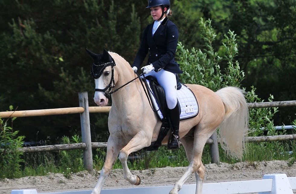 Silje bringsvor Krakk er saman med ponnien Mr. Magic tatt ut i NRYF si satsingsgruppe. Foto: Privat