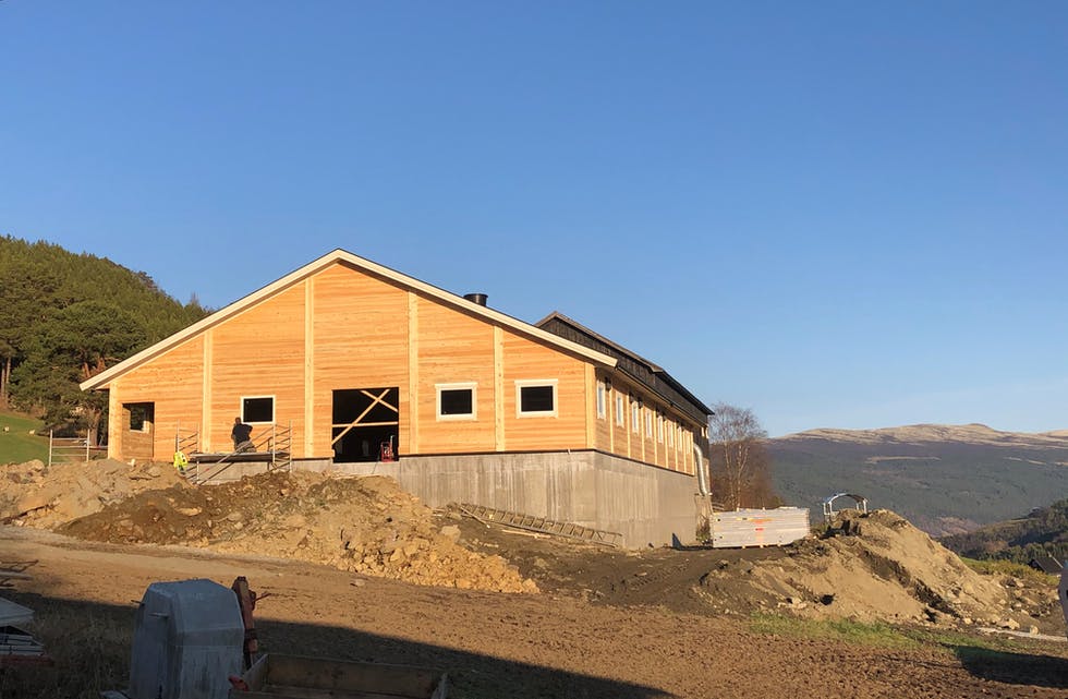 I fjor fekk 140 bønder i alt 33,6 millionar kroner i ekstra investeringstilskott for å bruk3 av tre i bygga deira. – Det viser at dei bøndene som no satsar og investerer i landbruket tek klimautfordringane på alvor, seier administrerande direktør Håkon Haugli i Innovasjon Noreg.
Foto: Erik Steine
