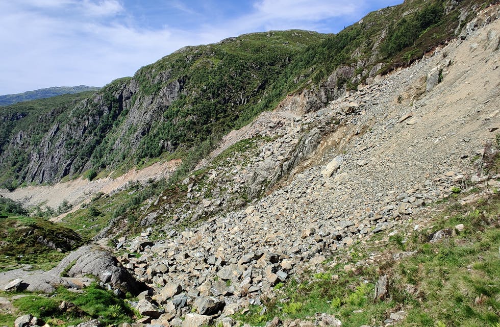 Landbruksvegen i Øyno er blitt godt synleg for alle som går tur frå Øyno til Blomstøl.
FOTO: ANITA HAUGLAND