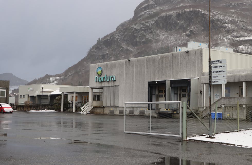Nortura sitt slakteri i Sandeid startar opp produksjonen igjen førstkomande måndag etter full nedstenging grunna koronasmitte.
Foto: Irene Mæland Haraldsen